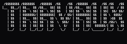 travaux écrit en style ascii